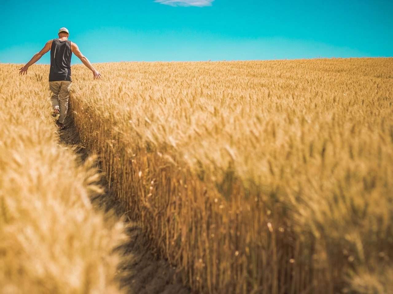 https://mutrol.com/wp-content/uploads/2022/10/Agricultura-min-1280x960.jpg