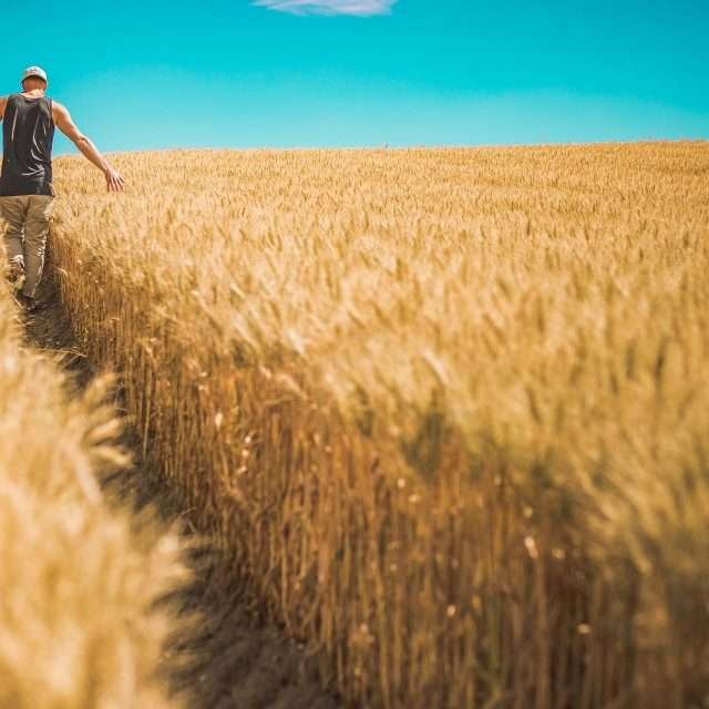 https://mutrol.com/wp-content/uploads/2022/10/Agricultura-min-640x640.jpg
