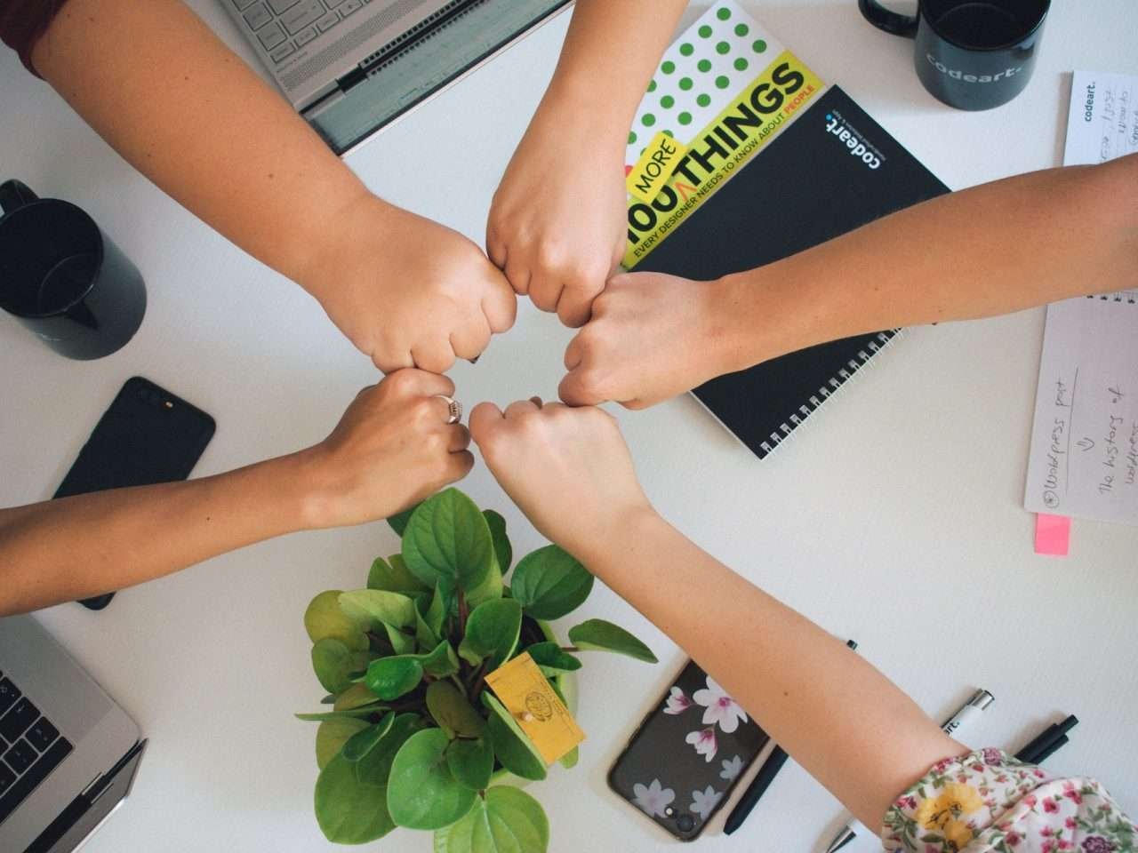 https://mutrol.com/wp-content/uploads/2022/10/Soluciones-Holisticas-tamano-grande-min-1280x960.jpg